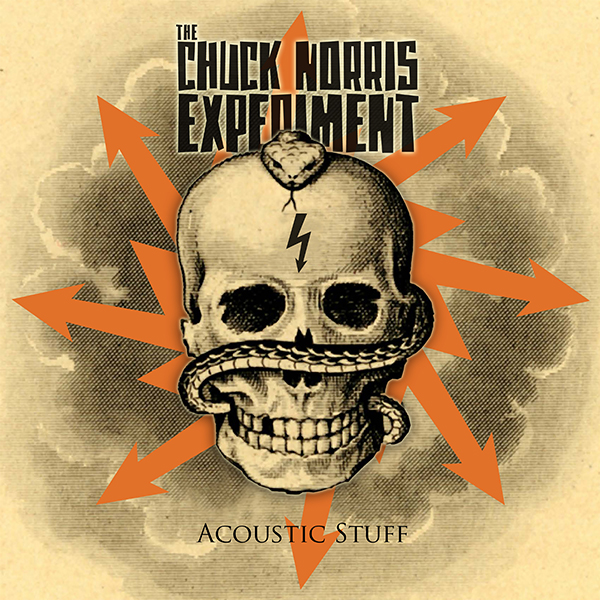 acoustic stuff skull with snakes